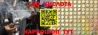 прущие крисы Моздок