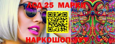 прущие крисы Моздок