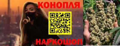 прущие крисы Моздок